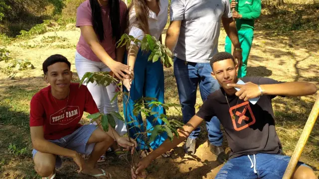 Ação de recuperação ambiental e paisagística